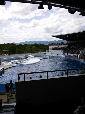 水族館2.JPGのサムネール画像