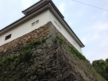 彦根城２.JPGのサムネール画像