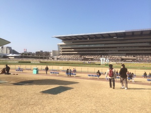 東京競馬場２.JPG