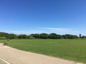 IMG_2529.JPG