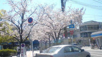 20100408131017.jpg