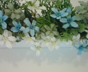 20100605172609.jpg