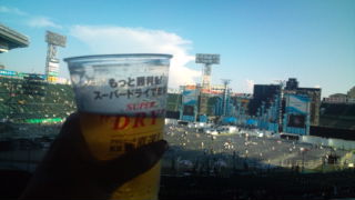 20100904164516.jpg